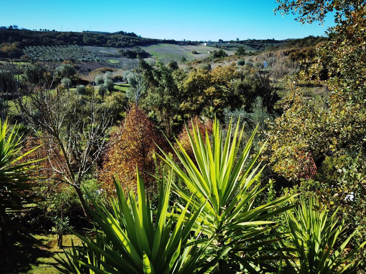 Quinta Do Vale Encantado "The Valley" - Santarem - Portugal Calhariz Exteriér fotografie