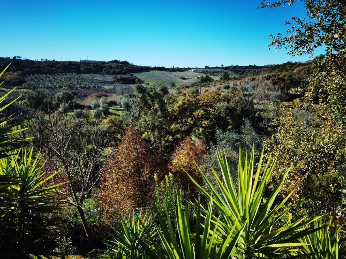 Quinta Do Vale Encantado "The Valley" - Santarem - Portugal Calhariz Exteriér fotografie