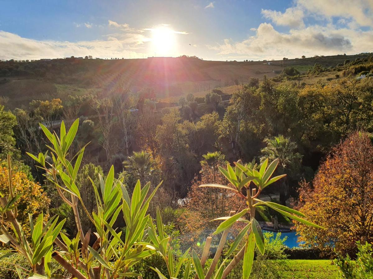 Quinta Do Vale Encantado "The Valley" - Santarem - Portugal Calhariz Exteriér fotografie